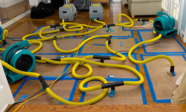 Professional Emergency Water Removal technician working in Thonotosassa, FL